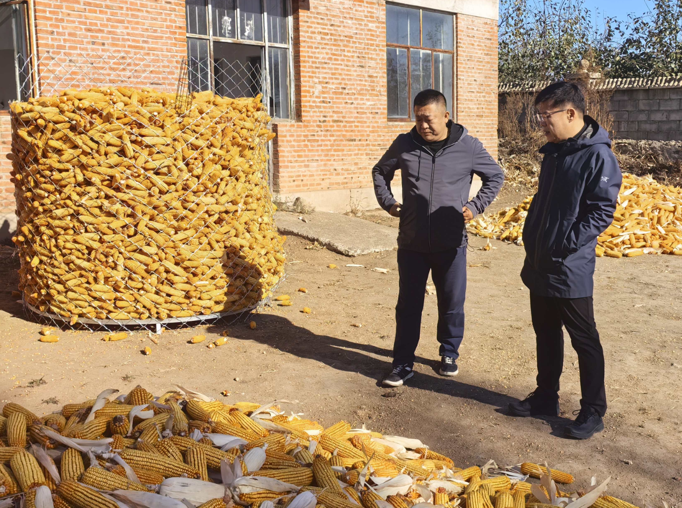 1760159133536016.png image.png