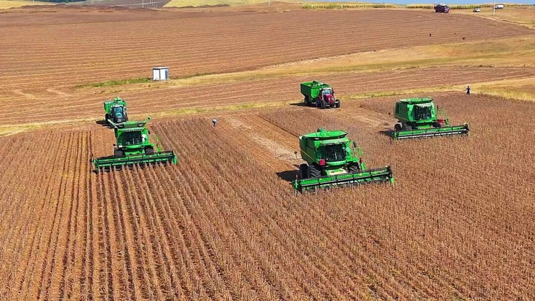 回眸“十四五”丨“农”墨重彩 交出“十四五”期间高分答卷